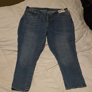 Arizona Jeans skinny (hi-rise slim fit skinny leg) size 23 plus